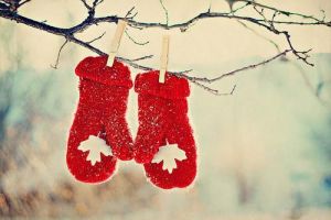 Merry Christmas from Luscious - mylusciouslife.com - christmas mittens in the snow.jpg
